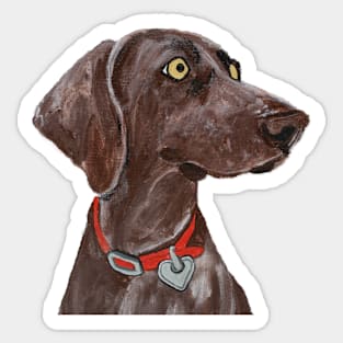 Bella Blue the Weimaraner over Red Sticker